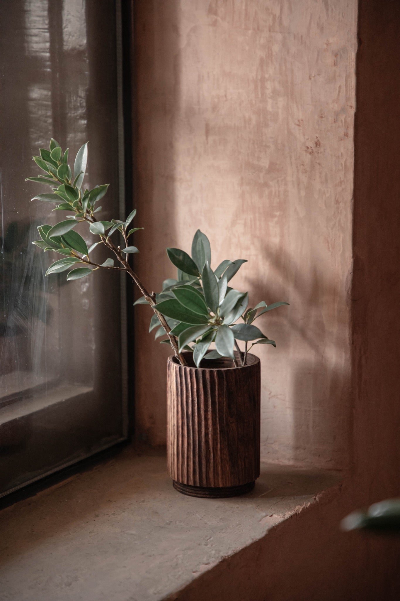 Acacia - Wood modular Cup Long