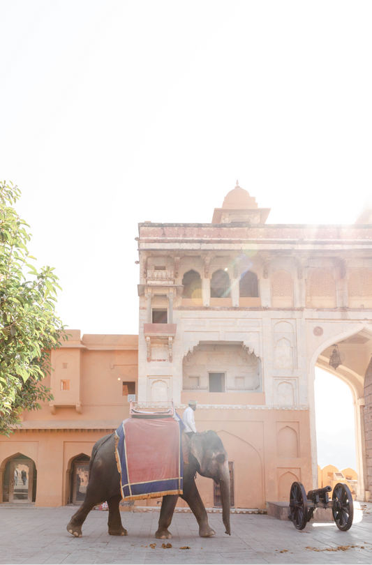 Jaipur: the magical pink city opens itself to whoever wants to experience magic